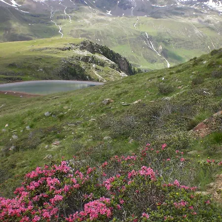 Ferienhaus Ferienwohnung Familie Höfler