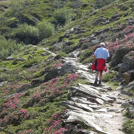 Ferienwohnung Familie Höfler Ferienhaus *