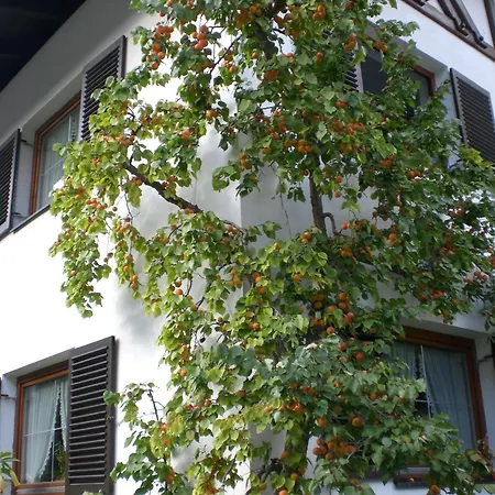度假居 Ferienwohnung Familie Hoefler 朗根费尔德