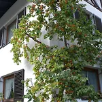 Vakantiehuis Ferienwohnung Familie Hoefler Längenfeld