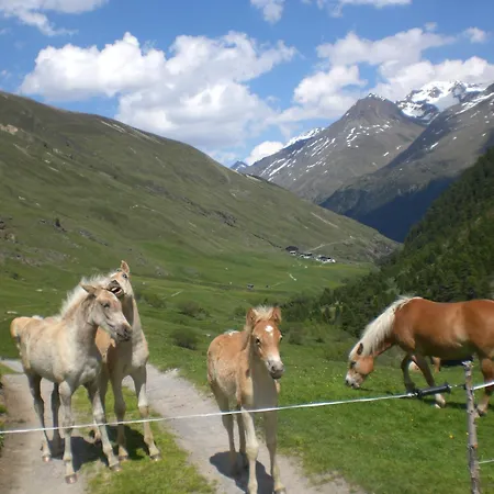 Ferienwohnung Familie Hoefler Hébergement de vacances